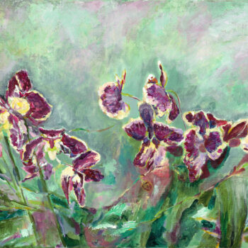 Orchids